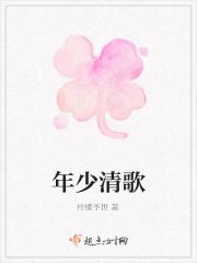 年少清歌