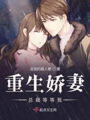重生娇妻总裁等等我