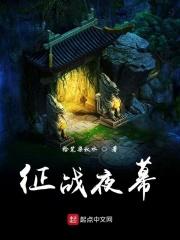 征战夜幕