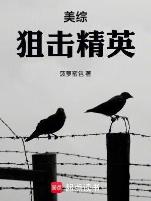 美综：狙击精英